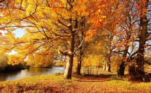 Coaching om te veranderen kan altijd niet alleen in de herfst.